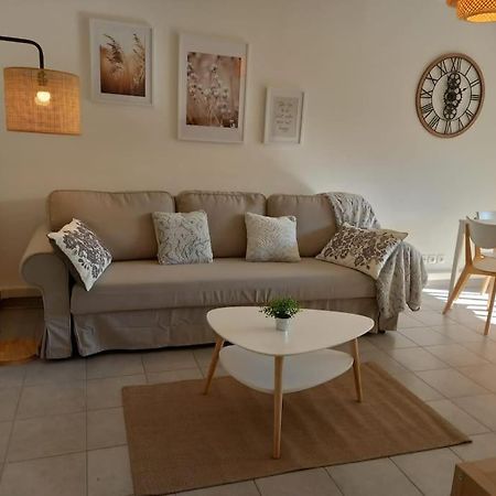 Appartement 8 Personnes En Face Des Remparts Climatise Avec Terrasse Et Parking Αβινιόν Εξωτερικό φωτογραφία